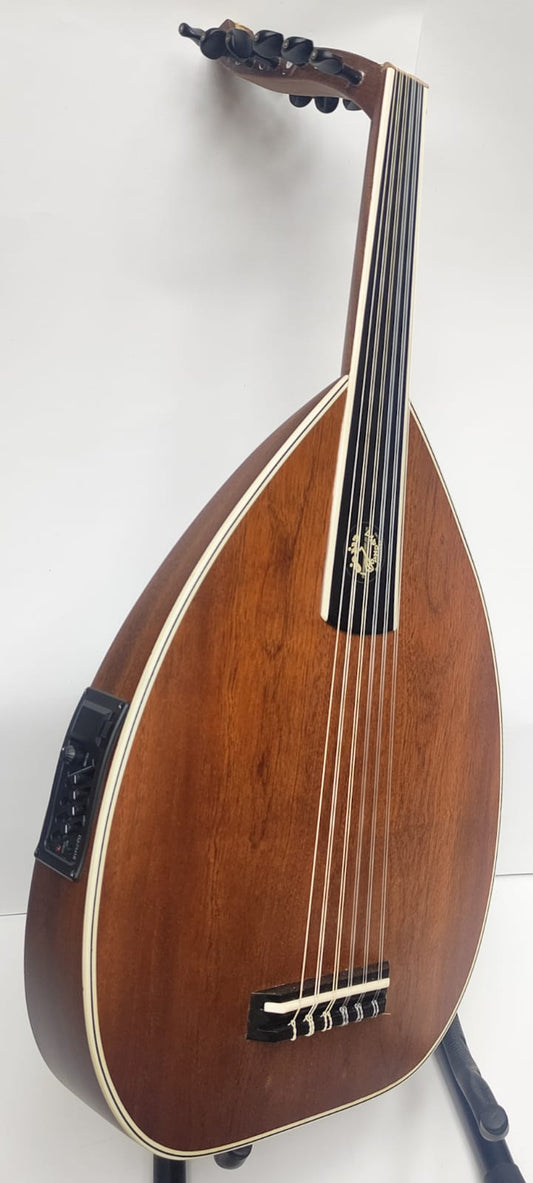 elictric oud d