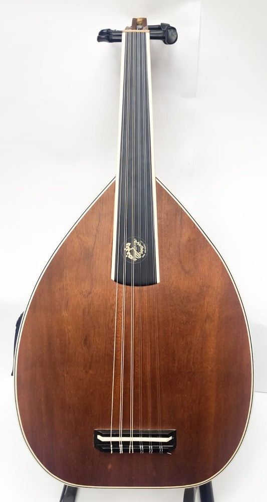 elictric oud d
